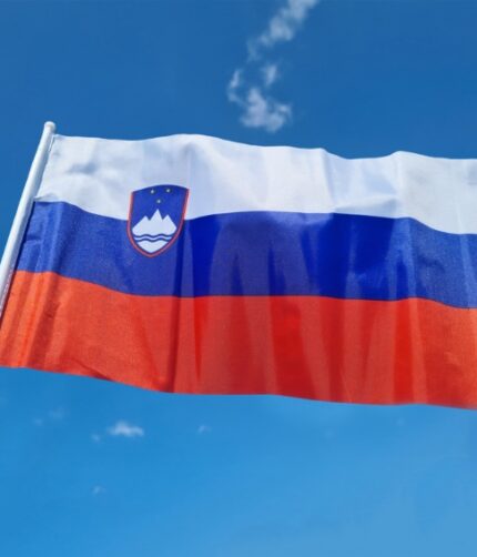 slovenska zastava na palici, srednja
