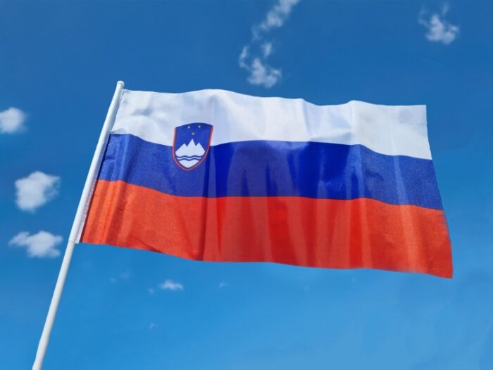 slovenska zastava na palici, srednja slovenska zastava na palici, srednja