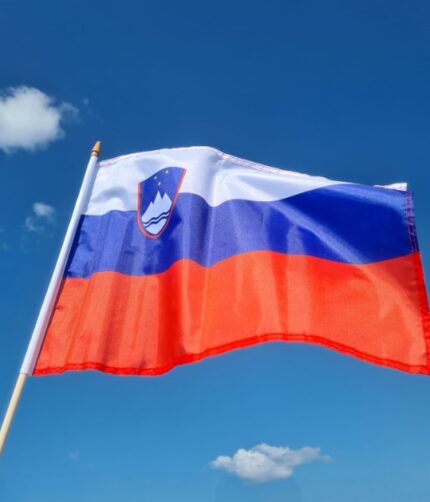 slovenska zastava na leseni palčki, velika