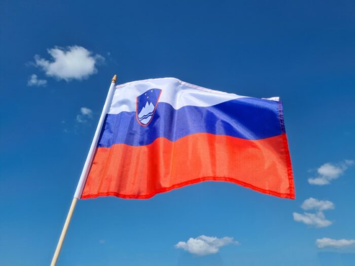 slovenska zastava na leseni palčki, velika slovenska zastava na leseni palčki, velika