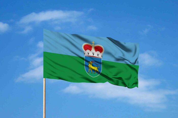 Zastava Mejna grofija Istra, monarhistična Zastava Mejna grofija Istra, monarhistična